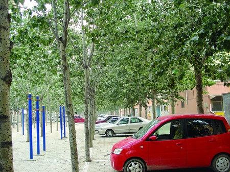 El municipio de Liaocheng promueve zonas de aparcamiento ecológicas 