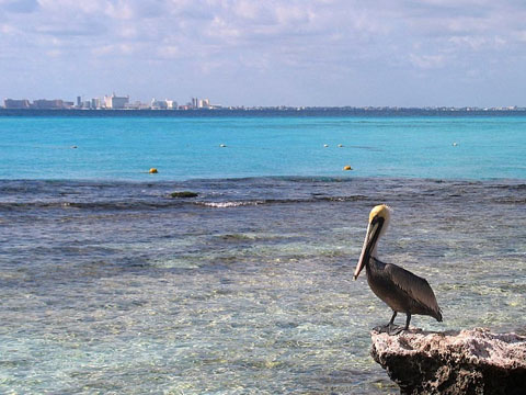 Prevén turismo chino crezca 20% Cancún México 13