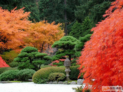 10 mejores jardines parques temáticos China 11