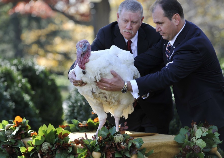 Obama absuelve el pavo en Acción de Gracias 