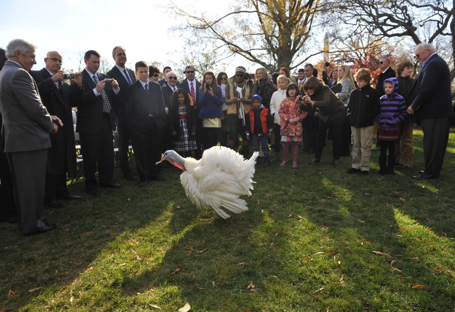 Obama absuelve el pavo en Acción de Gracias 