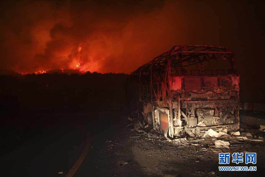 Israel-ayuda-internacional-incendio 9