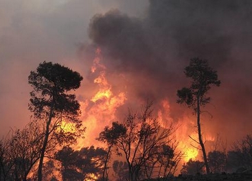 Israel pide ayuda internacional por incendio de grandes proporciones