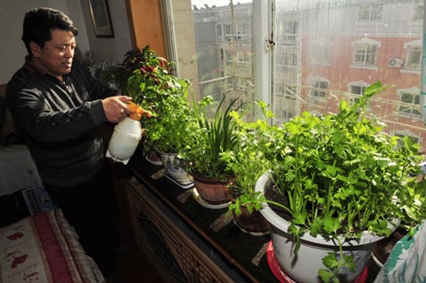 consumidores chinos incremento precio cultivar vegetales 1
