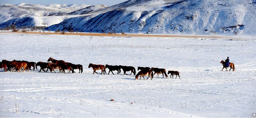 China-nevada