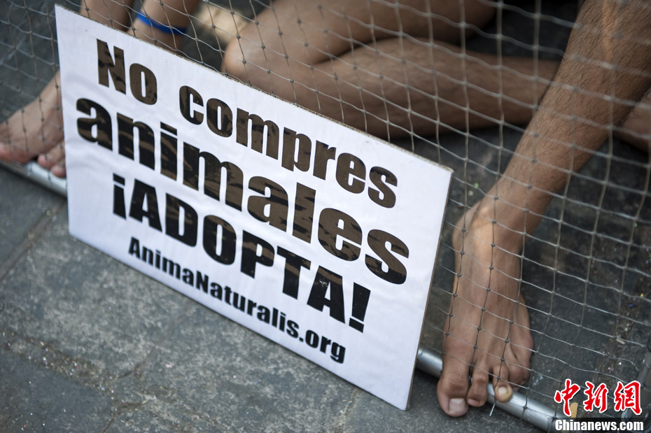 Amantes animales México impedir comercio animales 4