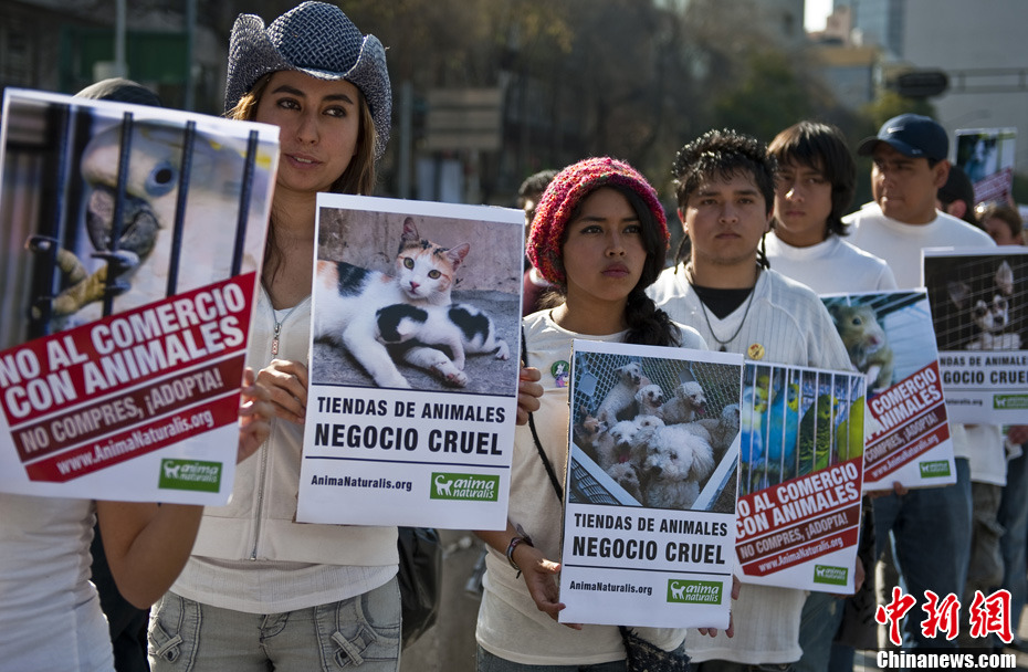 Amantes animales México impedir comercio animales 3