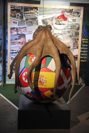 La estatua del pulpo Paul presenta en el Acuario de Stockhausen Obo de Alemania La estatua del pulpo Paul presenta en el Acuario de Stockhausen Obo de Alemania