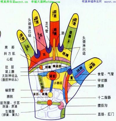salud , la medicina tradicional china , conservación de la salud ,masaje de puntos meridianos,punto de la acupuntura ,puntos meridianos