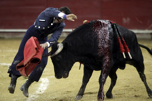 toro-Toreros-españoles-Ecuador El Fandi4