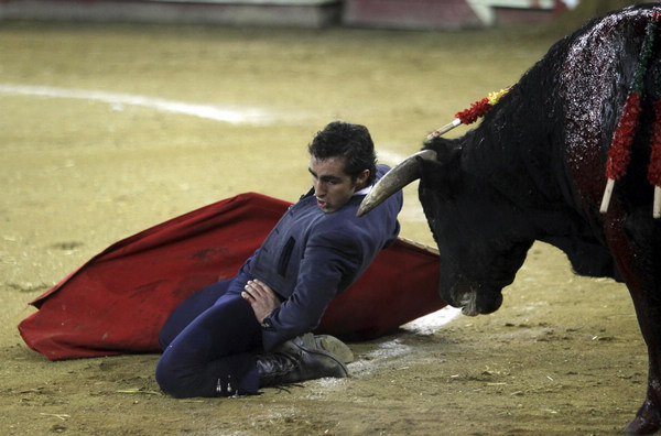 toro-Toreros-españoles-Ecuador El Fandi5