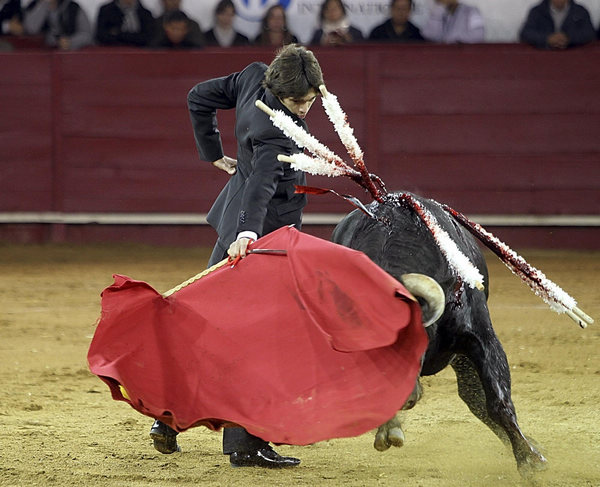 toro-Toreros-españoles-Ecuador 7-Sebastian Castella