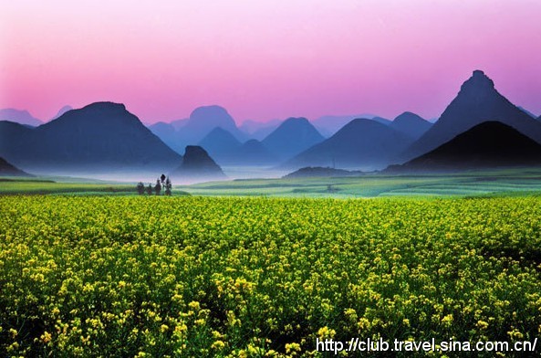 Luoping Donde Reinan Los Flores De Colza Spanish china cn 