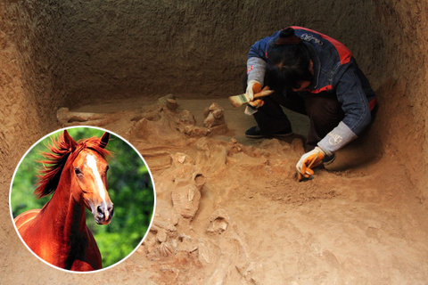 Un hallazgo arqueológico resucita una antigua leyenda china 
