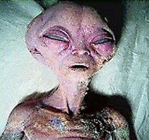 Fotos de los extraterrestres sorprenden al mundo