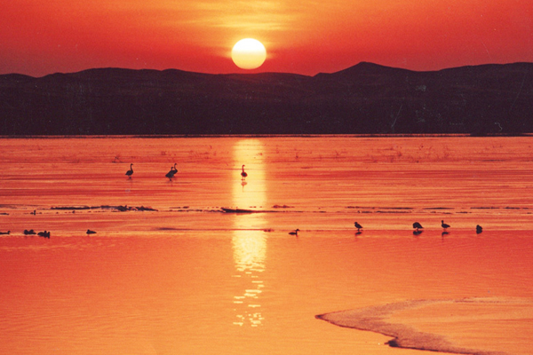 Río Amarillo, Shapotou 7