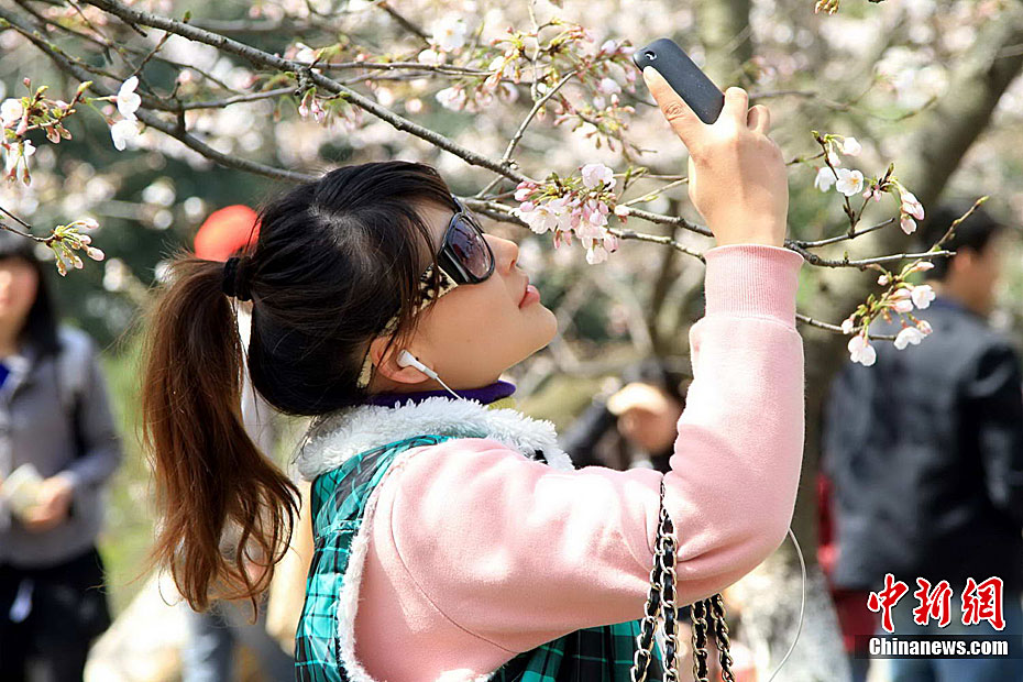 200.000 visitantes Wuhan flores de cerezo 1