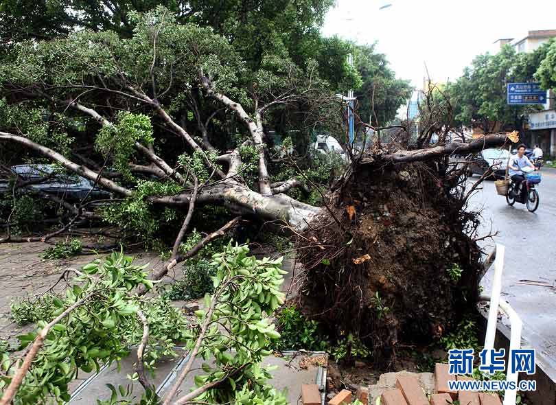 Lluvia, granizo ,Guangzhou, muertos Lluvia, granizo ,Guangzhou, muertos