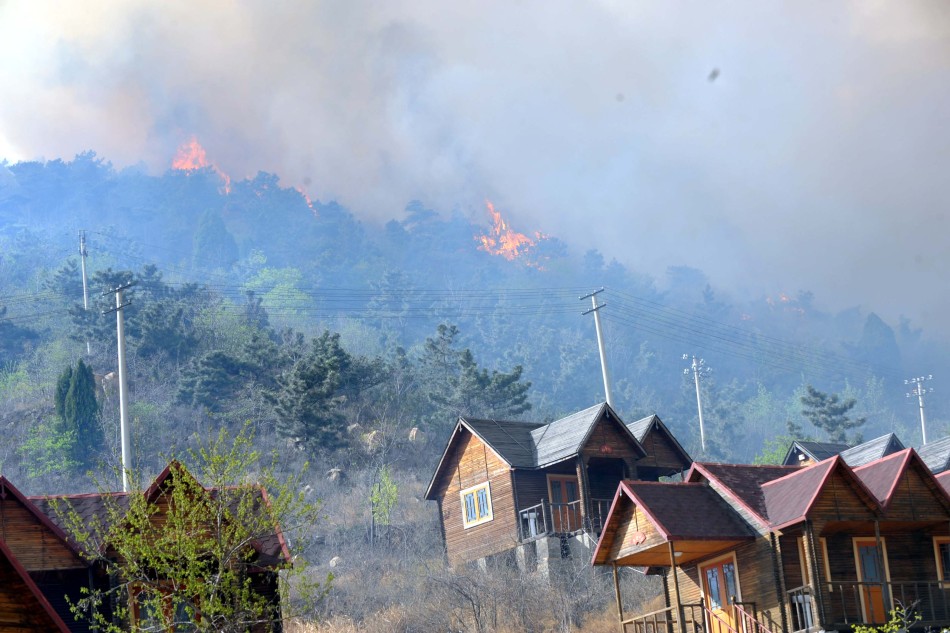 Taishan, incendio forestal, emergencia, Shandong