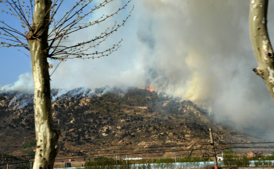 Taishan, incendio forestal, emergencia, Shandong