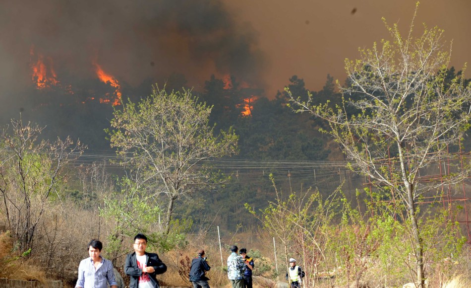 Taishan, incendio forestal, emergencia, Shandong