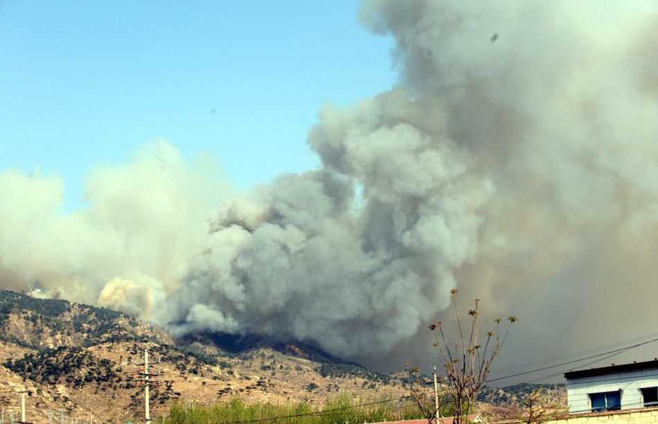 Taishan, incendio forestal, emergencia, Shandong