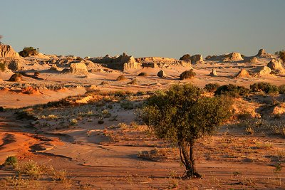 10 mejores parques y reservas del mundo 3