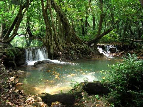 10 mejores parques y reservas del mundo 5