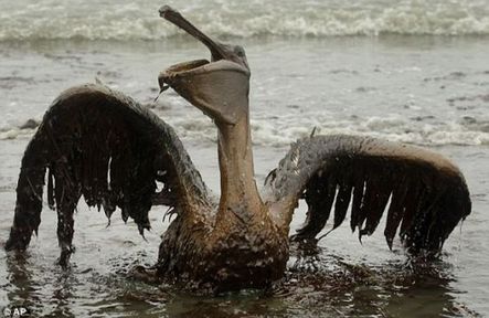 BP-golfo de México-daños