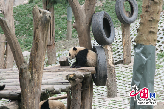 terremoto ,Wenchuan