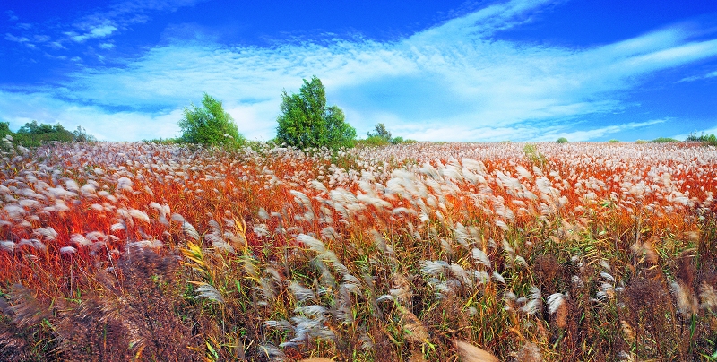 Shandong-paisaje 12