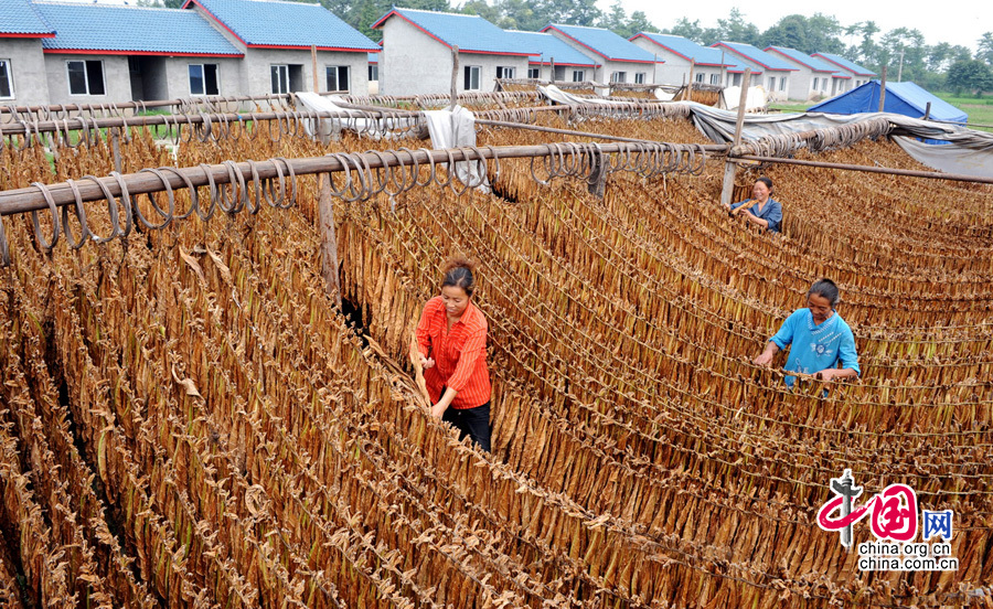 Wenchuan construímos nueva casa manos propias 27