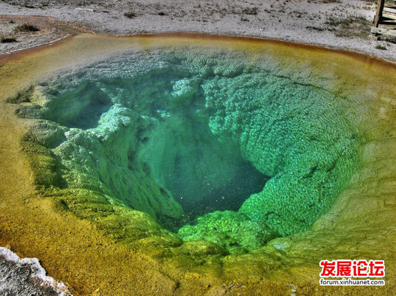 Morning Glory pool, pozo de agua caliente que puede cambiar colores