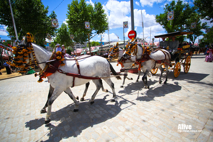 La feria de abril en Sevilla 15