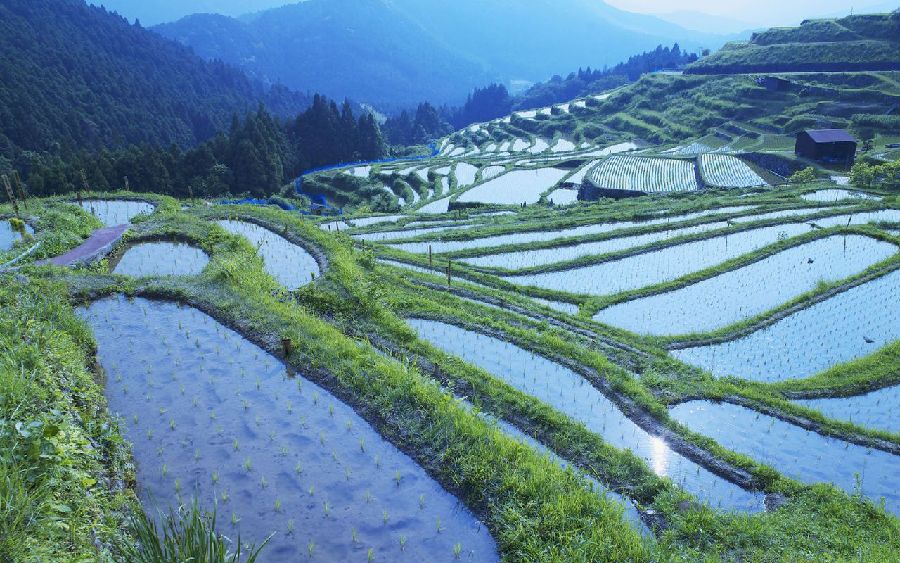 Los paisajes más hermosos en China 11