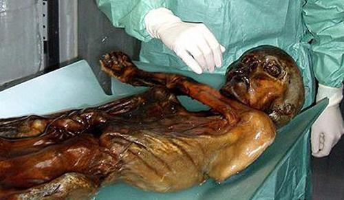 Las momias más famosas del mundo-- momia de hielo de Oetzi