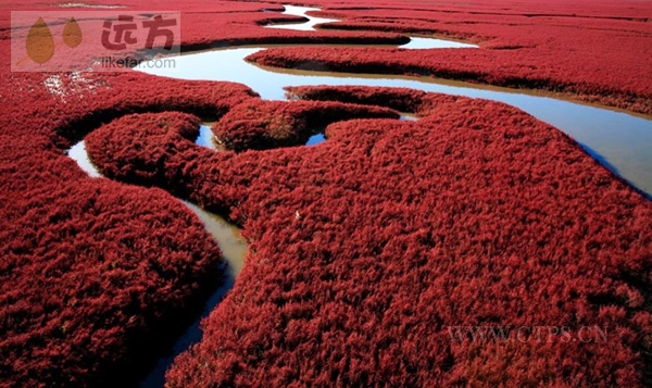 mar rojo verano Panjin 1