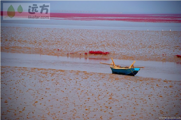 mar rojo verano Panjin 5