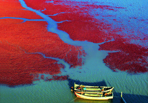 mar rojo verano Panjin 9