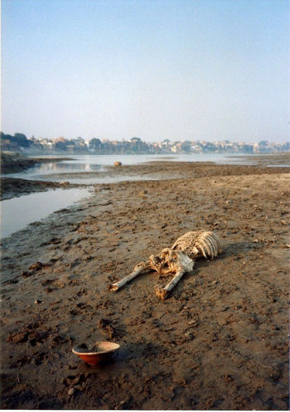 Secretos del Ganges en India: bañarse con los cadáveres