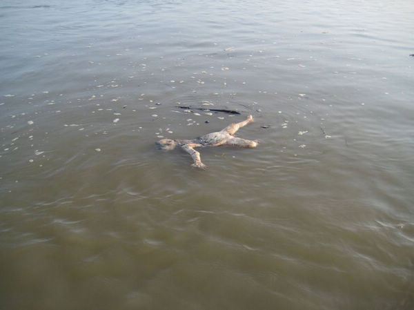 Secretos del Ganges en India: bañarse con los cadáveres