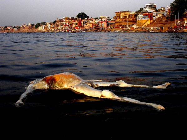 Secretos del Ganges en India: bañarse con los cadáveres