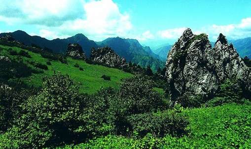  Instantáneas de la Reserva Natural de Shennongjia 2