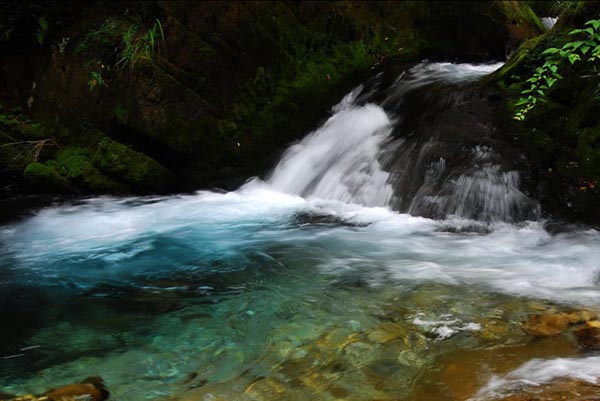 Instantáneas de la Reserva Natural de Shennongjia 4