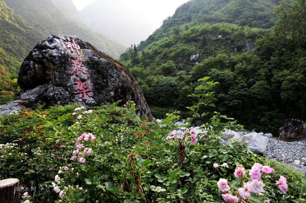 Instantáneas de la Reserva Natural de Shennongjia 5