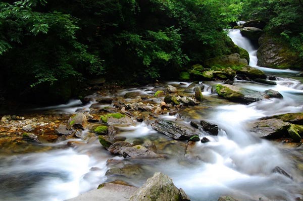 Instantáneas de la Reserva Natural de Shennongjia 6