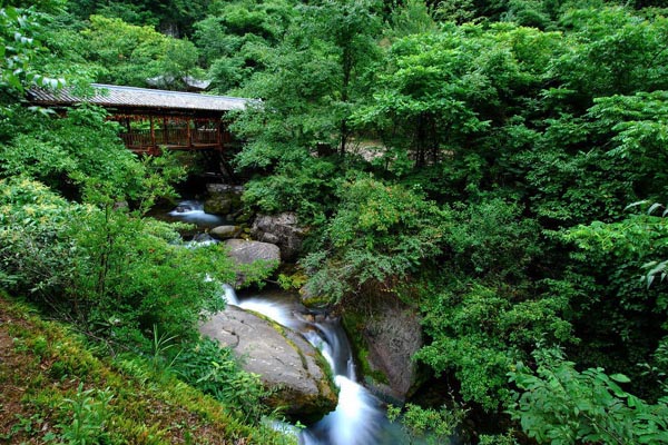 Instantáneas de la Reserva Natural de Shennongjia 7