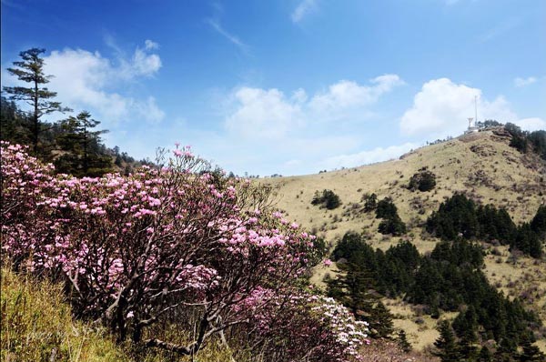 Instantáneas de la Reserva Natural de Shennongjia 8