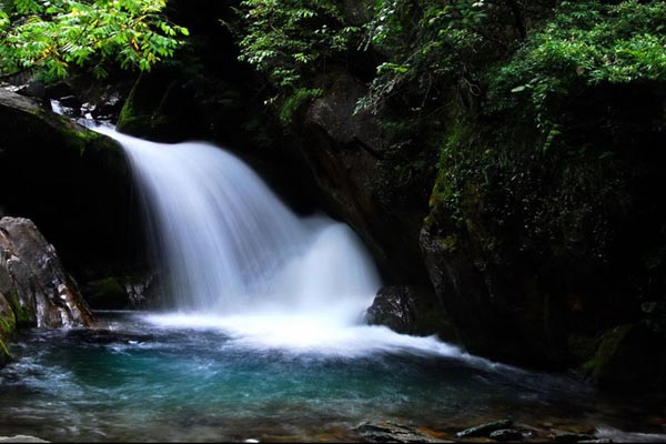 Instantáneas de la Reserva Natural de Shennongjia 11