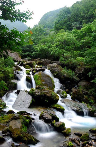  Instantáneas de la Reserva Natural de Shennongjia 12